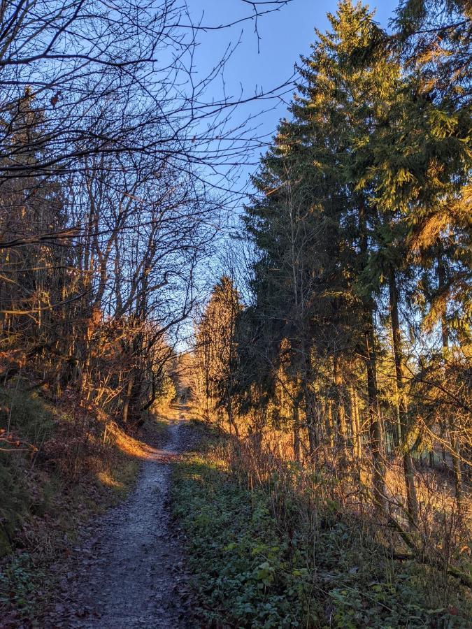 Zentrale Und Gemuetliche Ferienwohnung In Winterberg Nah An Der Natur Extérieur photo