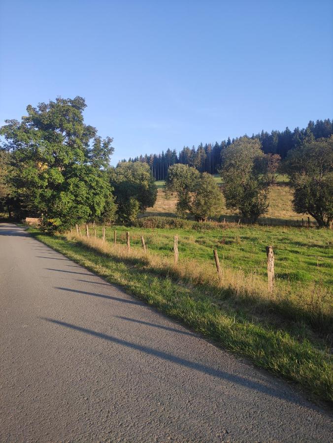 Zentrale Und Gemuetliche Ferienwohnung In Winterberg Nah An Der Natur Extérieur photo