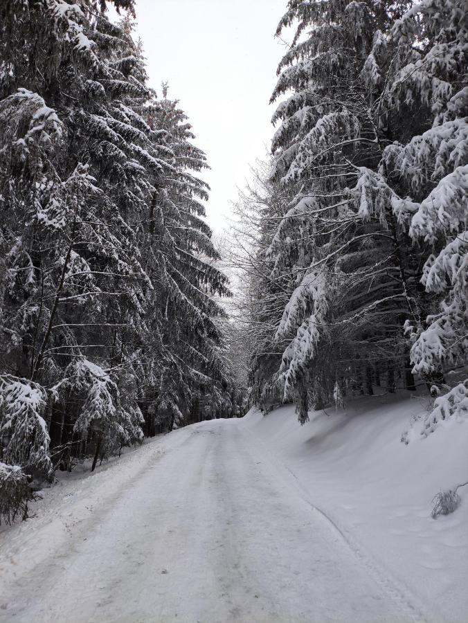 Zentrale Und Gemuetliche Ferienwohnung In Winterberg Nah An Der Natur Extérieur photo