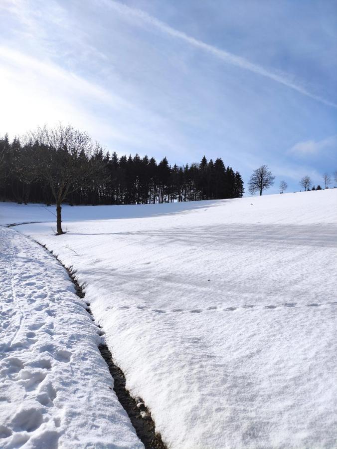 Zentrale Und Gemuetliche Ferienwohnung In Winterberg Nah An Der Natur Extérieur photo