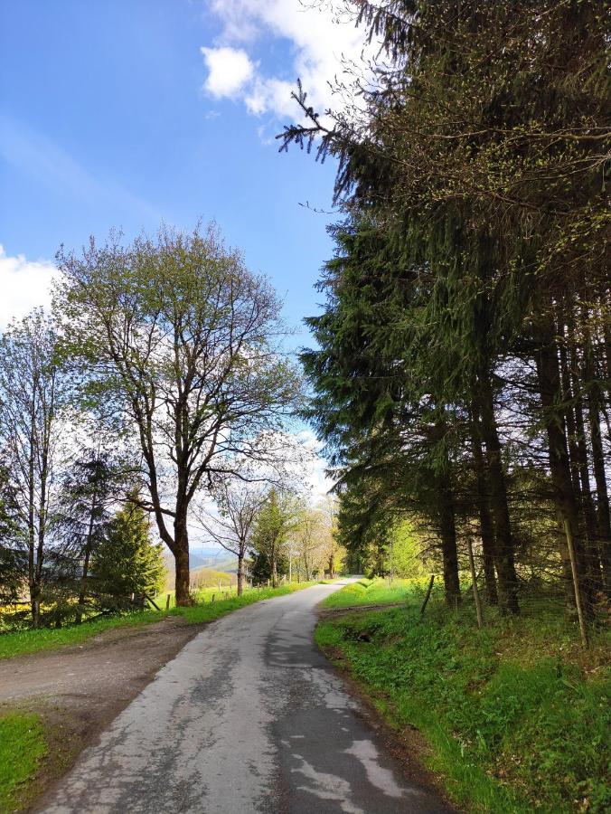 Zentrale Und Gemuetliche Ferienwohnung In Winterberg Nah An Der Natur Extérieur photo