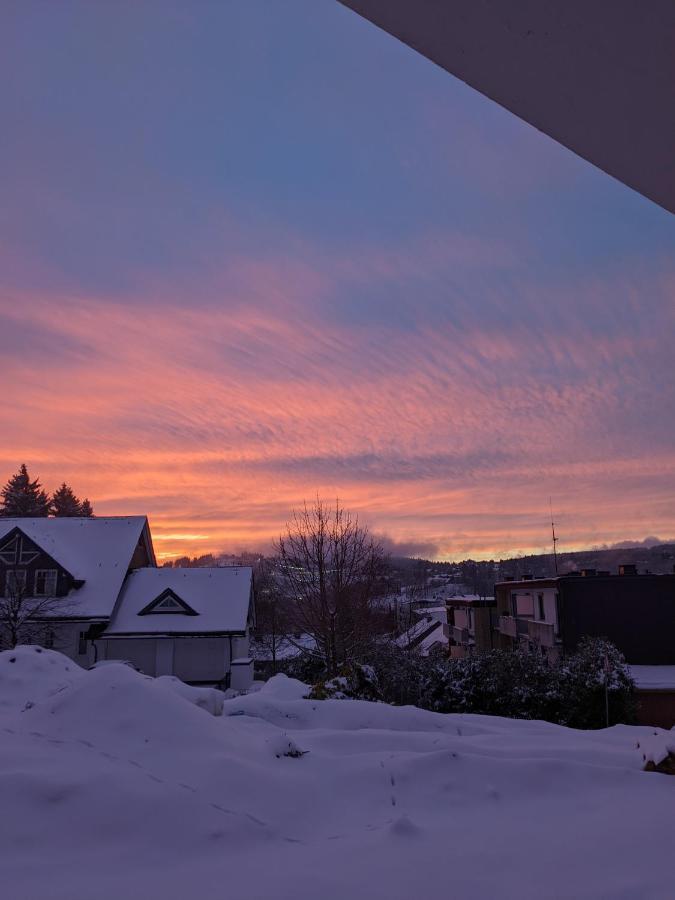 Zentrale Und Gemuetliche Ferienwohnung In Winterberg Nah An Der Natur Extérieur photo